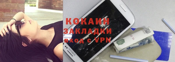стафф Дмитриев