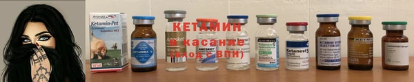 стафф Дмитриев