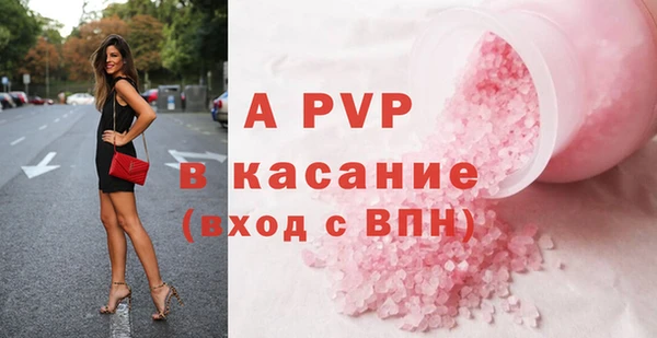 стафф Дмитриев