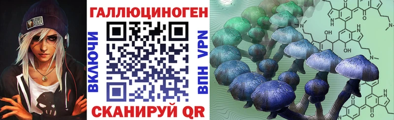 Галлюциногенные грибы Psilocybe  Купить закладки  Багратионовск 